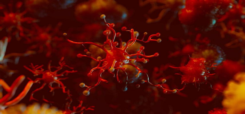PharmAla & Red Light collaborate for psilocybin